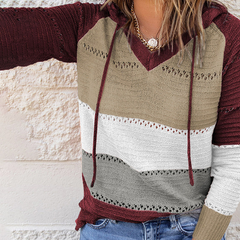 Colorblock open-knit hooded sweater, back view