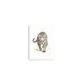 Jaguar Wall Art Print