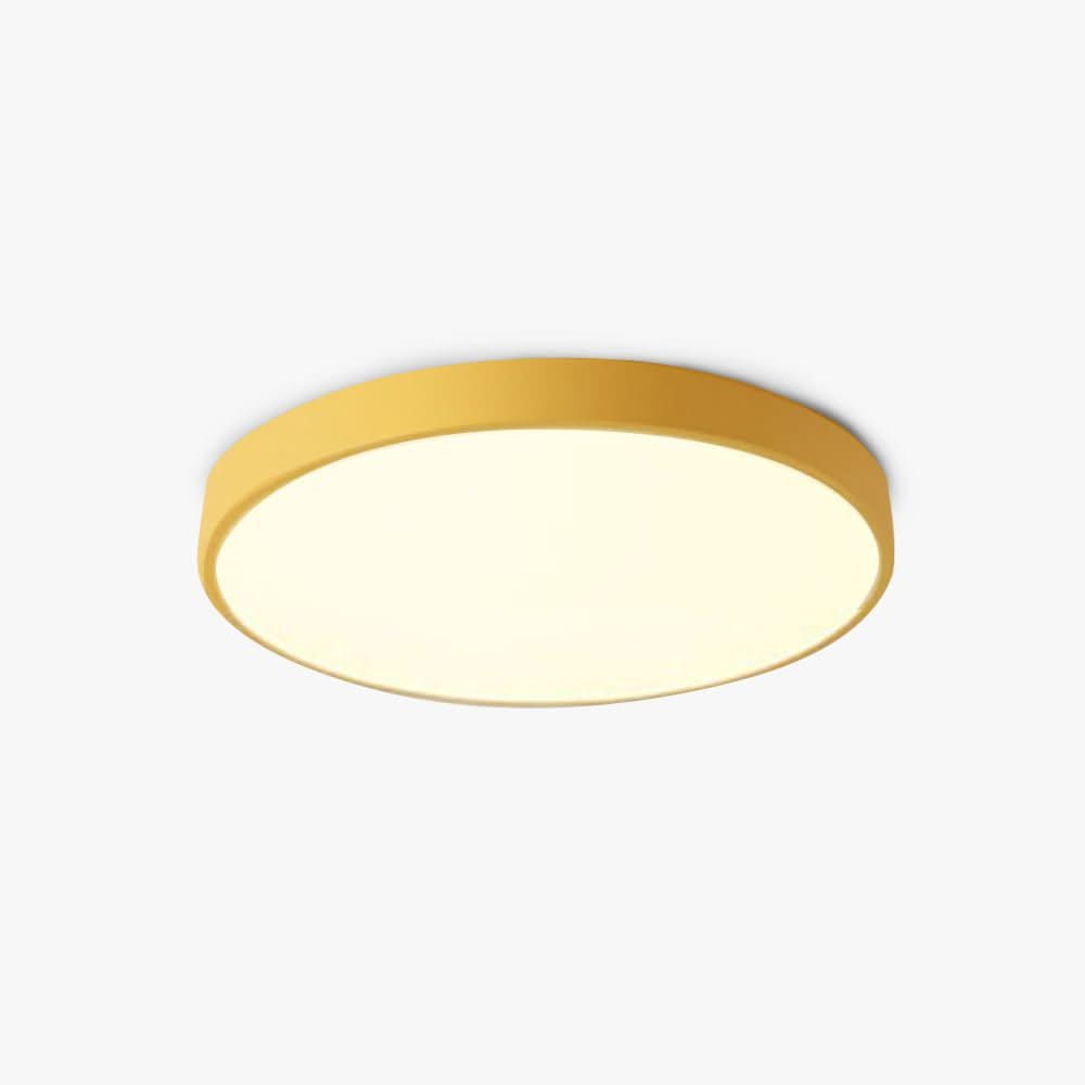 Round LED Ceiling Light, Energy-Efficient