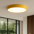 Round LED Ceiling Light, Energy-Efficient