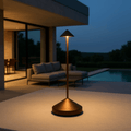 Elegant Energy Efficient LED Lamp